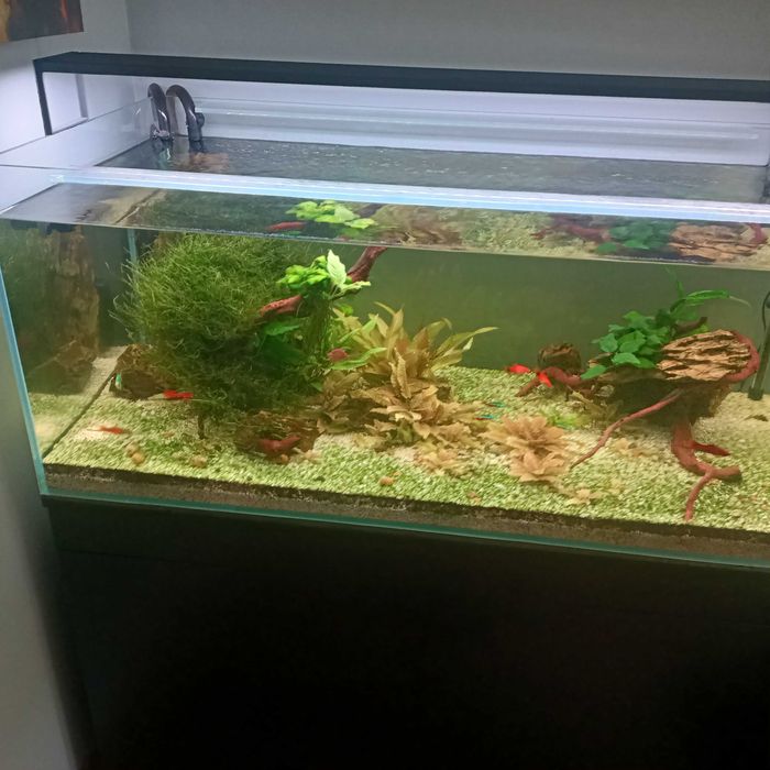 Sprzedam akwarium 360 l