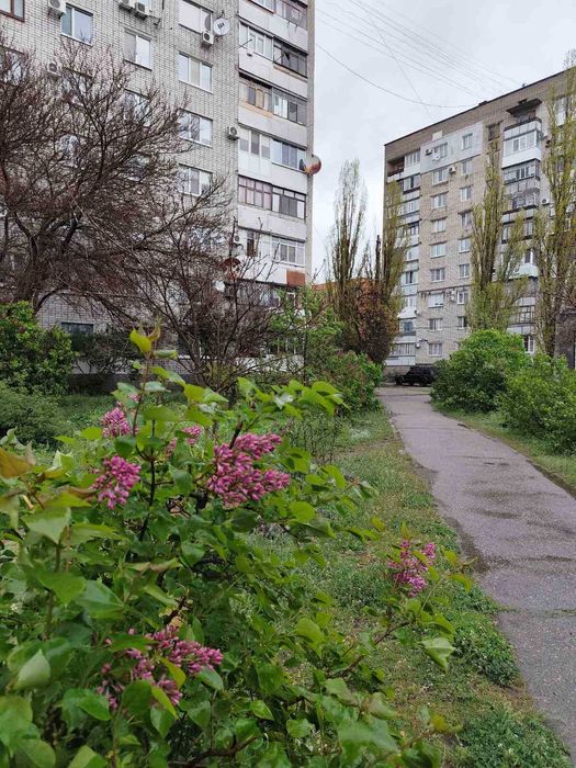 Оренда 1 кімн 1 Занасип 5 хв Центр