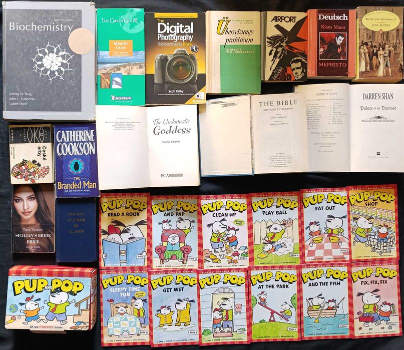 Лот книг для вивчення іноземних мов частина №52.1