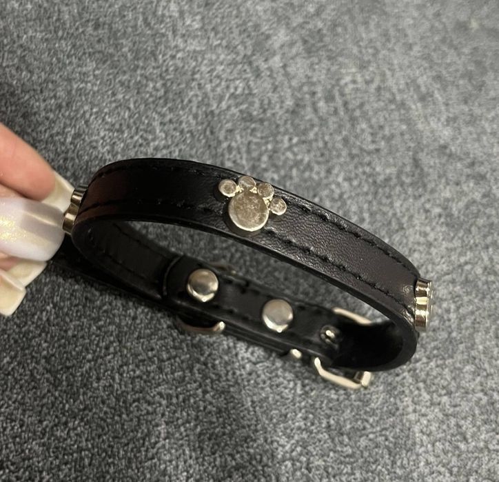 Ошейник для собак