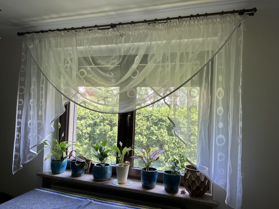 Firanka na taśmie , ecru