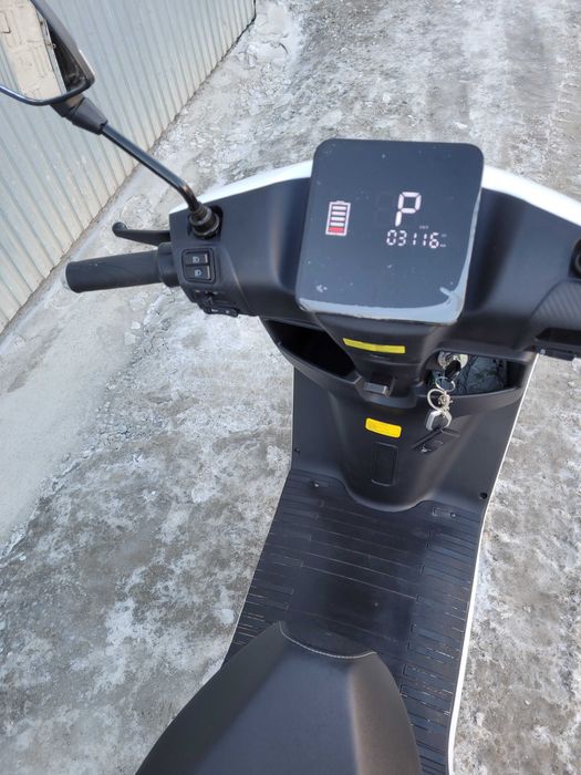 Barton Evivo - stan jak nowy