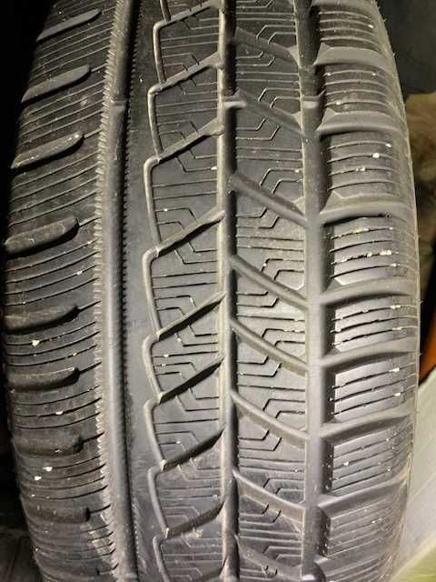 Opony Zimowe Avon Ice Touring 205/55R16  4szt