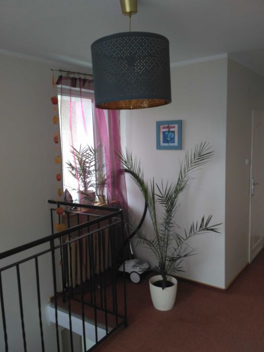 Mieszkanie – Olsztyn - Widok 4