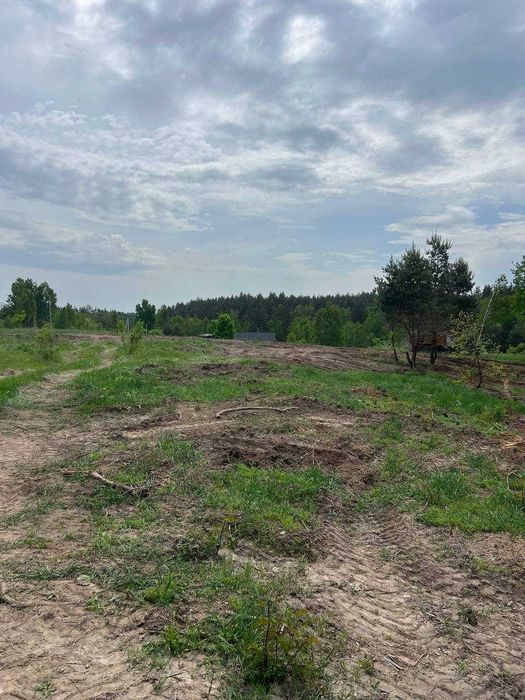 Краєвид, ліс і тиша. Ділянки під забудову