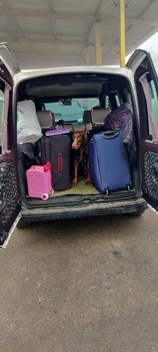 Перевозка посылок трансфер  Одесса Кишинёв  ,вещей ,животных