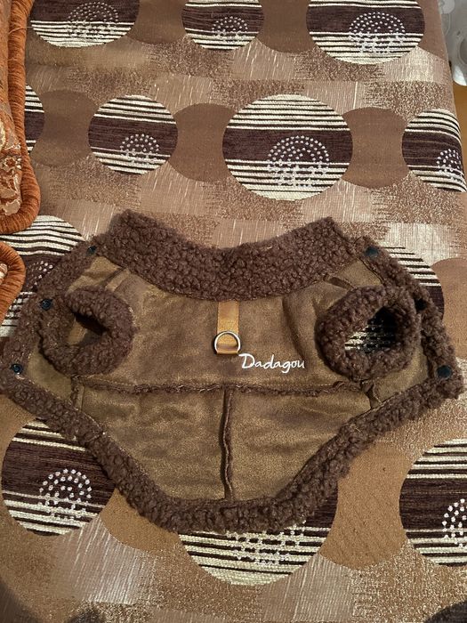 Одяг для собак