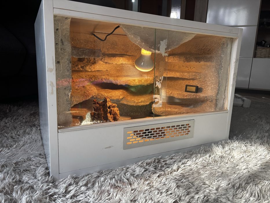 Terrarium dla zwierzaka