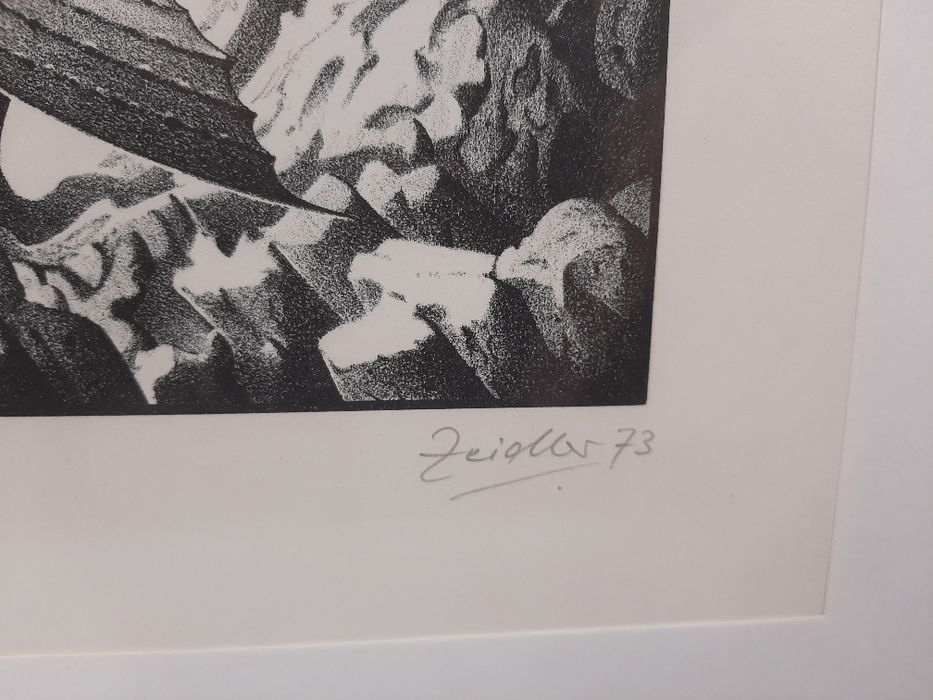 Obraz litografia Hans Joachim Zeidler ryba z uchem surrealizm 1973