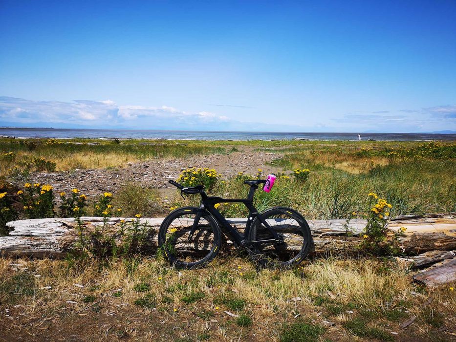 BMC Timemachine 01 THREE 2018