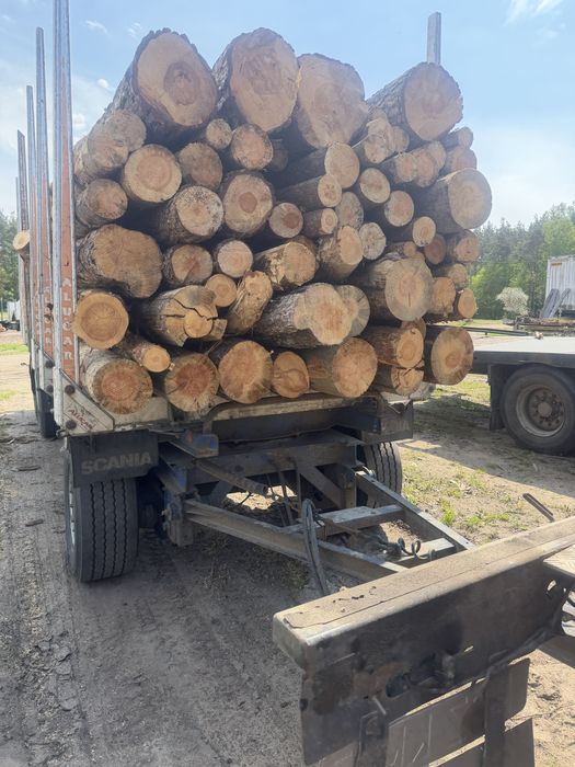 Sprzedam sosna opał 250/mp