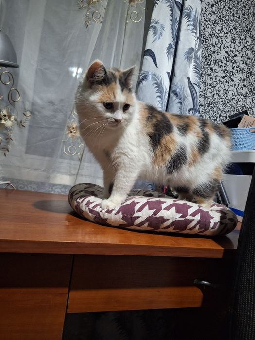 Прохання про допомогу !!!