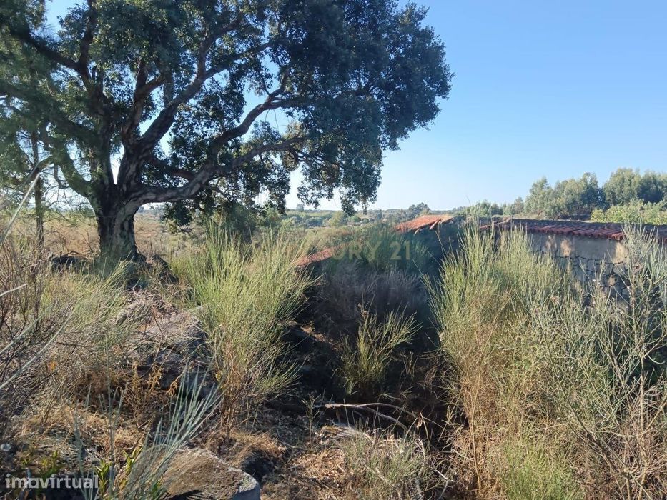 Propriedade Rústica em Escalos de Cima, com 104.250 m2, com 1 Construç