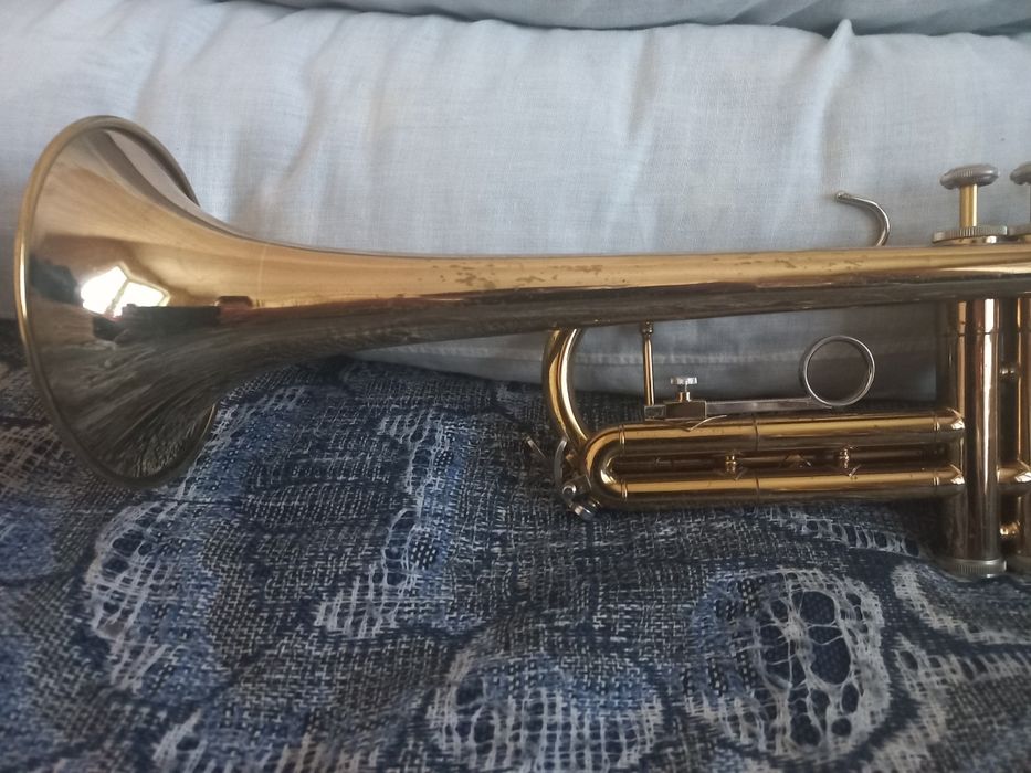 Труба Bach TR300