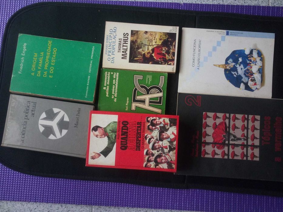 Conjunto livros ciencias politicas Comunismo Marxismo Uniao Europeia
