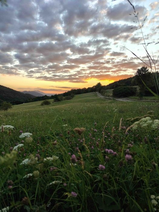 Domek w górach z balią,  Beskid Wyspowy Laskowa