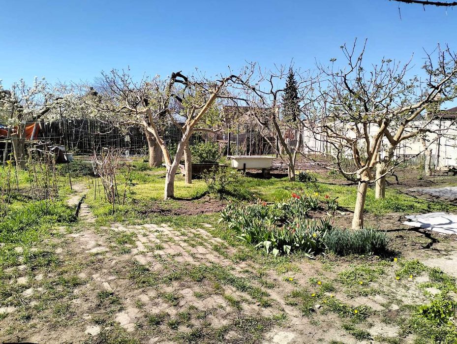 Гданцівка. Продам будинок