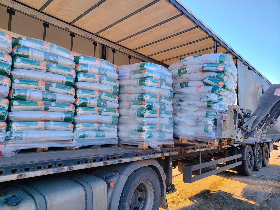 Kukurydza ROSOMAK , DANUBIO i inne Wysyłka