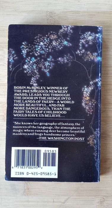 The Door in the Edge of Robin McKinley