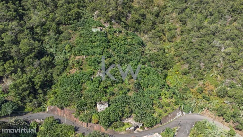 Terreno com 7340 m2, Localizado no Concelho de Santana, Freguesia do F