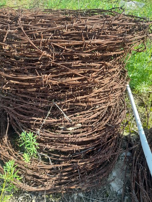 Колюча проволока