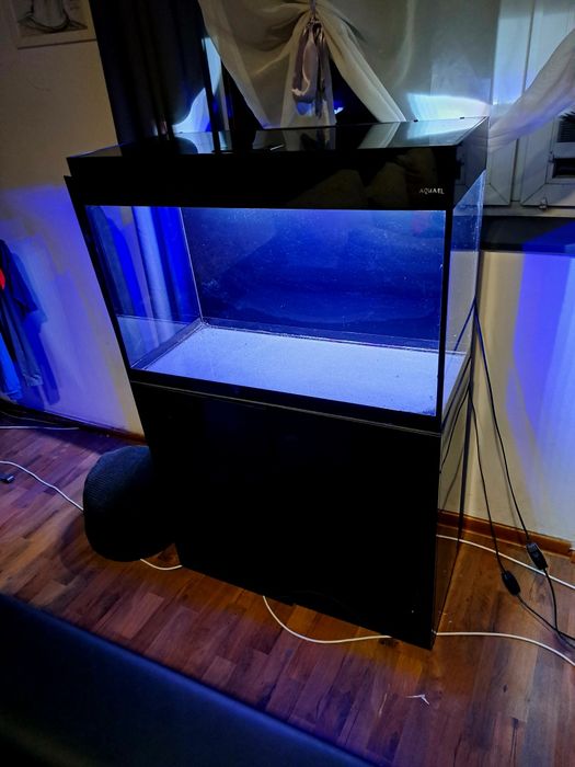 Akwarium Aquael Glossy – 125 l - pokrywa,szafka,filtr,tło,oświetleniee