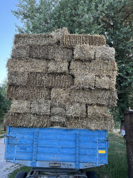 Продаю солому в тюках