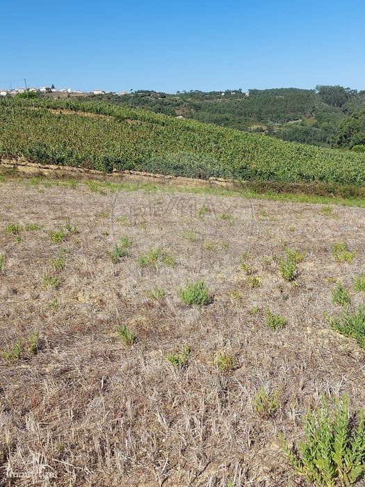 Terreno  para venda — Azueira E Sobral Da Abelheira, Lisboa