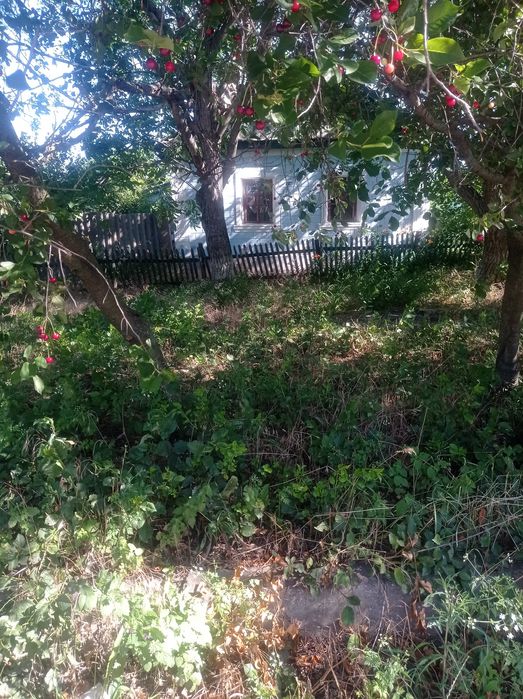 Продам дім в центрі пгт Арбузинка Миколаївської області