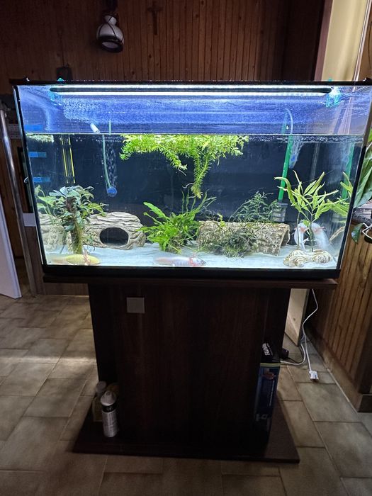 Akwarium szafka filtr 120l Axolotl Aksolotle lub rybki