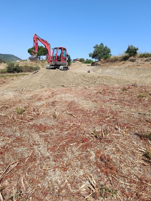 Serviços de Bobcat ( destroçador florestal)