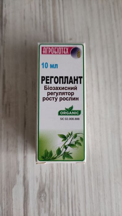 Насіння соняшника JAEGER F 369, канадський гібрид, олійний