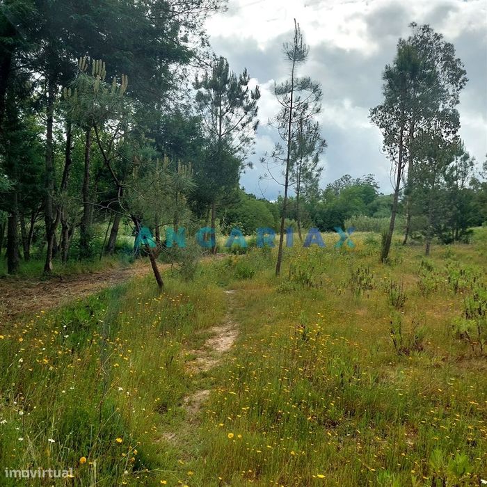 ANG1121 - Ruína para Venda em Cantanhede, Coimbra