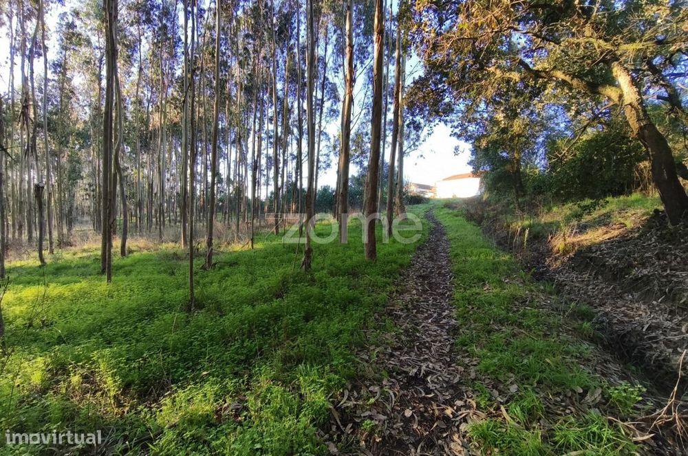 Terreno Urbanizável — Turquel, Leiria