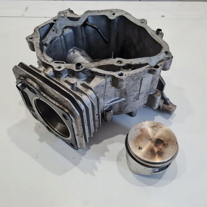 Cub Cadet Cc 550 Sp Cylinder Tłok Komplet