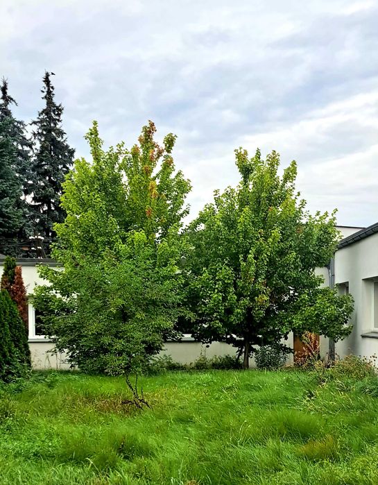 Zdjęcie 7