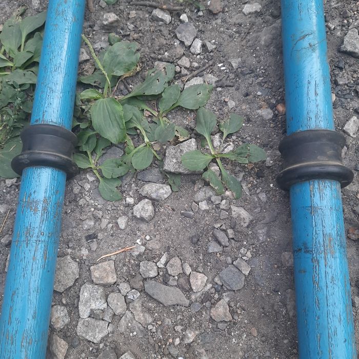 Продам  весла саморобні.