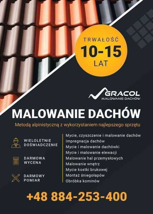 Malowanie  dachów,elewacji ,naprawa dachów montaż rynnień- śniegolapów