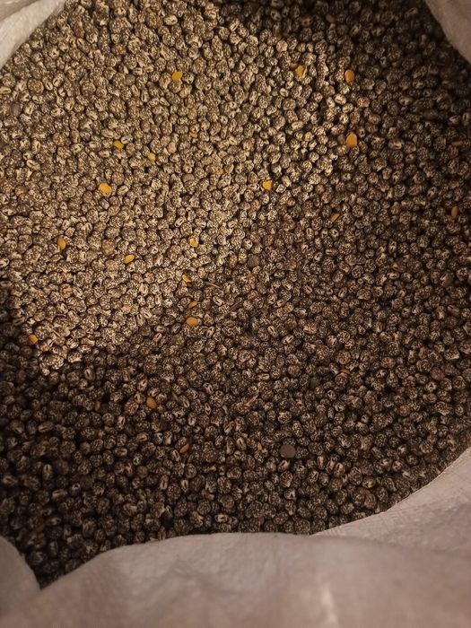 Gorczyca /owies/jęczmień ozimy