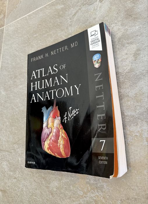 Livro Atlas of Human Anatomy (7ª Edição em Inglês) Frank H. Netter, MD