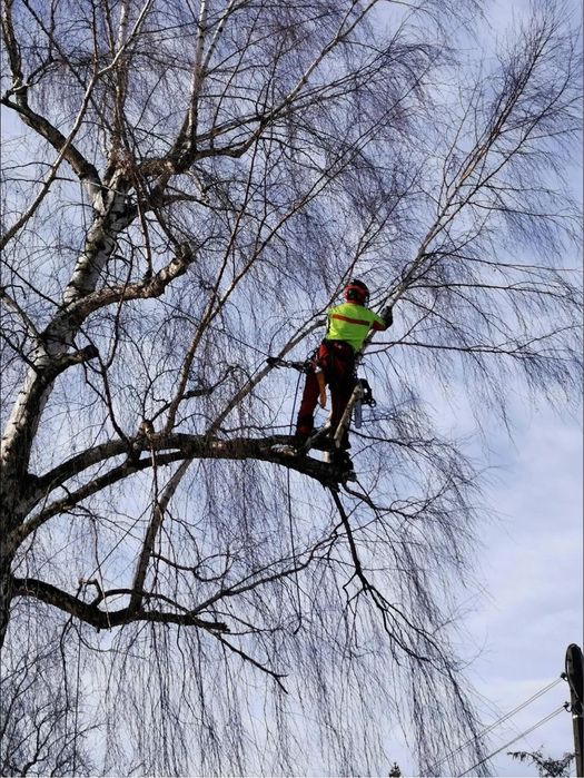 Usługi ogrodnicze, przycinanie, koszenie, glebogryzarka, rębak Ustroń