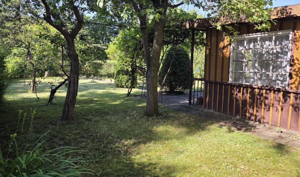 Sprzedam piękny i zadbany ogródek działkowy - działkę rekreacyjną - Widok 4