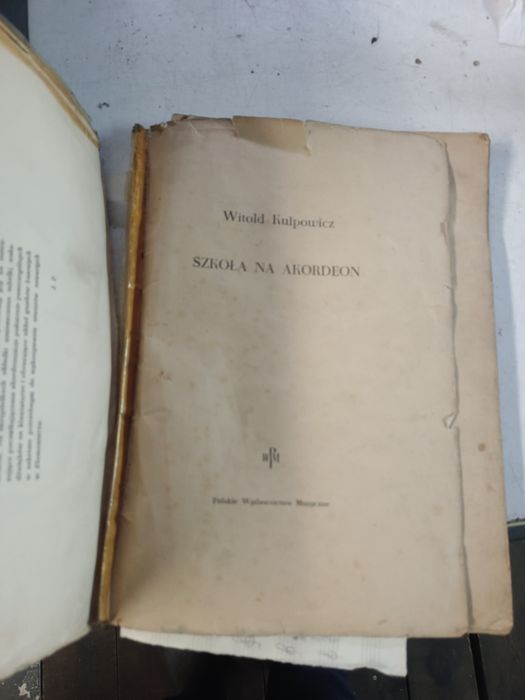 Akordeon Viktoria II