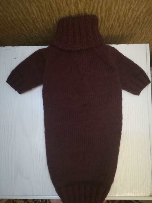 Одежда для собак