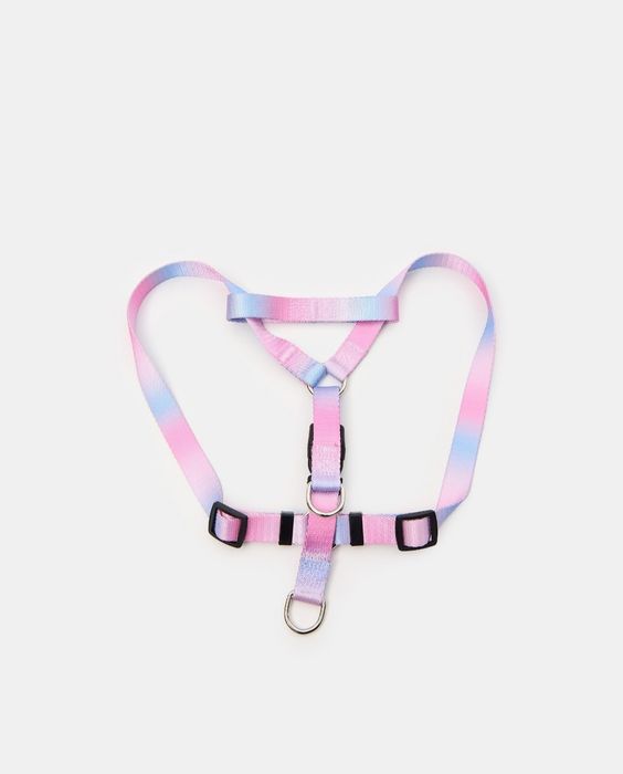 Шлея, нашийник, повідець нові