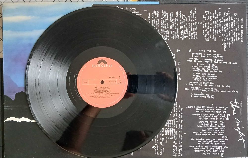 Taxi - The Night (LP)