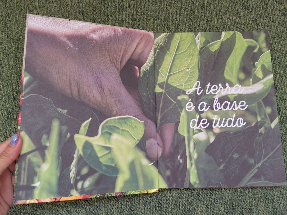 Livro "À Mesa com o Pingo Doce - Quatro Estações"