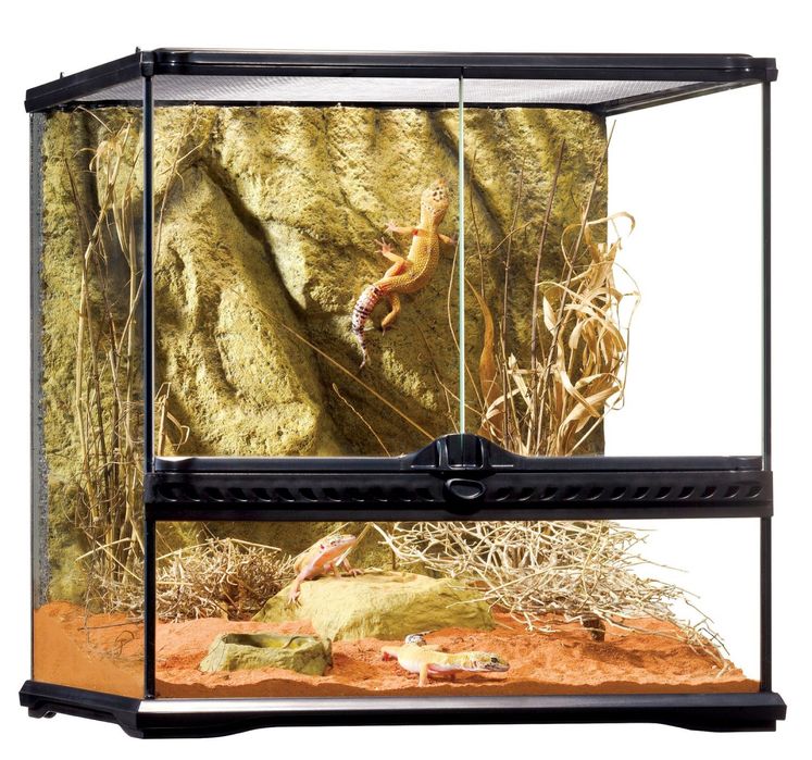 Exo Terra Terrarium Szklane 45x45x45 cm