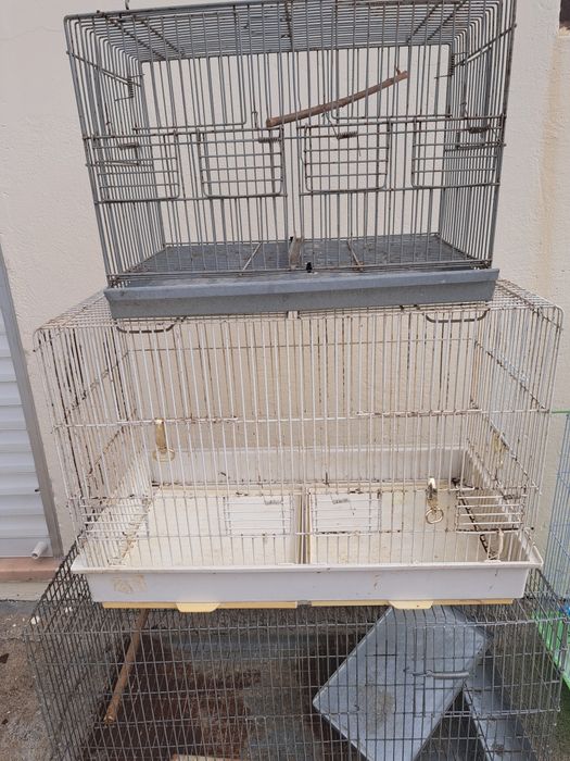 Várias gaiolas para pássaros