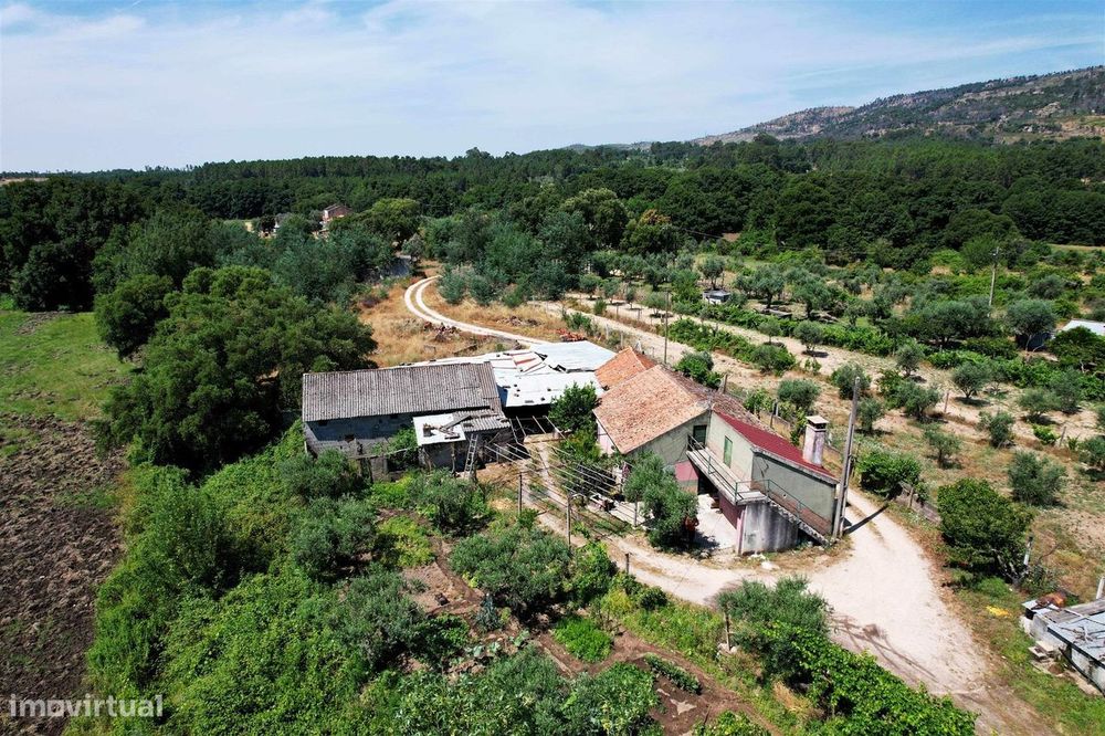 Quinta